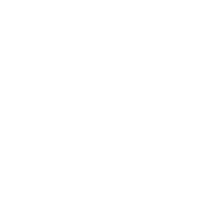Rittal_Light_Square